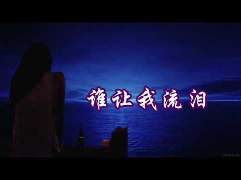 誰讓我流淚--潘美辰