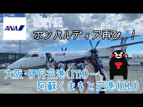 【搭乗記】2回目！ANA唯一のプロペラ機(DHC8-400)