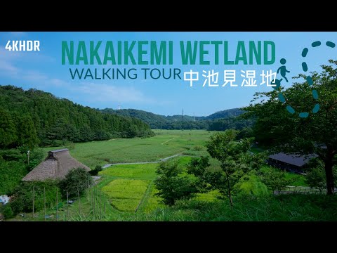 [4KHDR]Rich Nature - Nakaikemi Wetlands [Japan][Ramsar Convention]散策 豊かな自然 中池見湿地 福井県