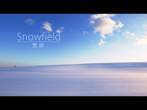 Time Lapse #116 Snowfield 雪原 4K January-2017