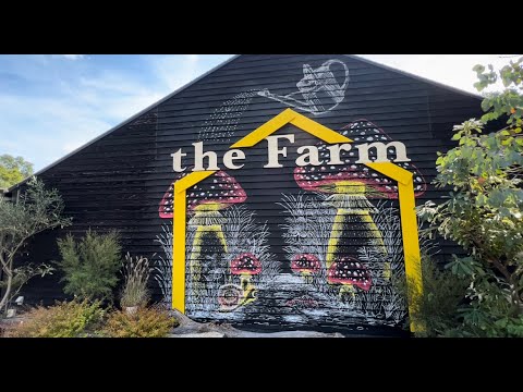 【the Farm】ユニバーサル茨木　秋のお買い物祭り