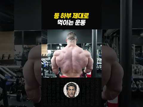 광배근 하부 제대로 키우는 운동