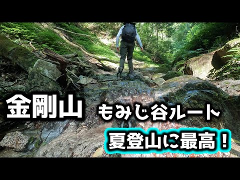 【金剛山（もみじ谷）】夏は涼しいね～