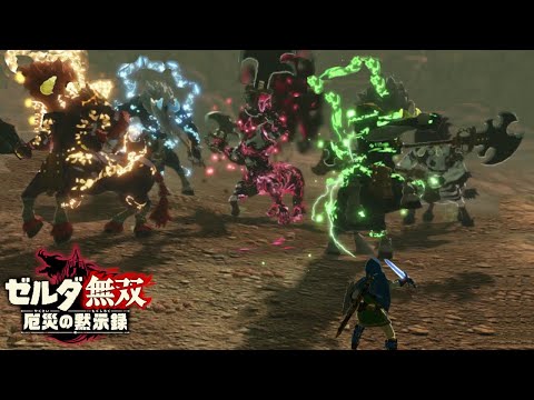 ライネル５体同時に相手する勇者【ゼルダ無双 厄災の黙示録】【Hyrule Warriors】