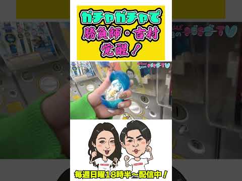 みちょぱもビックリ！ガチャガチャで勝負師・ノブコブ吉村が覚醒！＜マブマブTV＞#shorts