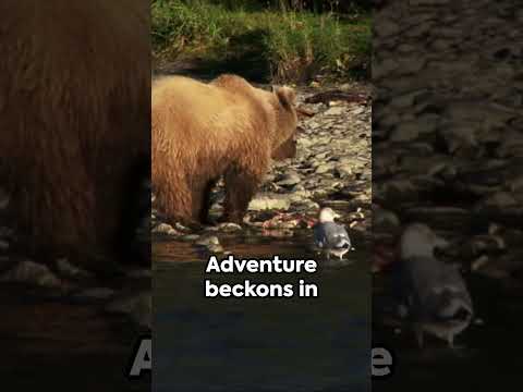 Alaska Unveiled: Wilderness, Wildlife, and Wonder