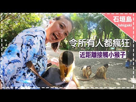 【郵輪旅遊】石垣島必去景點八重山民俗村！失控的小猴子