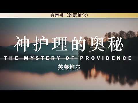 神护理的奥秘 The Mystery of Providence | 芙莱维尔 | 有声书