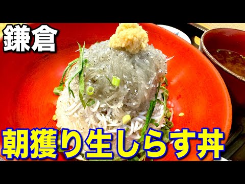 湘南に行ったら絶対食べたい『生しらす』