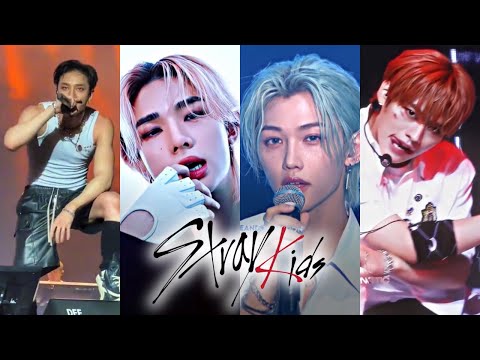 Stray Kids 스트레이 키즈 tiktok  ⭐ #3