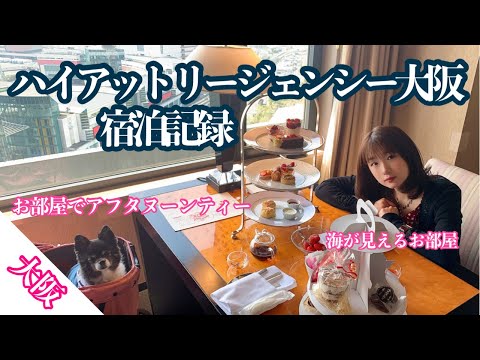 ハイアットリージェンシー大阪！宿泊記録/お部屋で愛犬とアフタヌーンティー/海を見下ろす素敵なお部屋/ネモフィラ畑/まいしまシーサイドパーク/犬と宿泊/関西