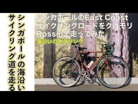 【ロードバイク/サイクリング】シンガポールのEast Coast サイクリングロードをクロモリロードバイクROSSINでポタリング