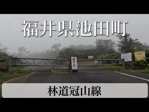 福井県池田町 林道冠山線 [4K/車載動画]