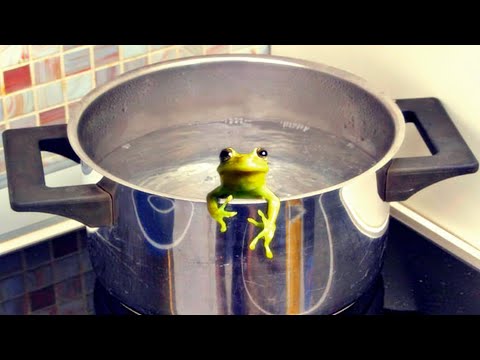 Walter E Williams - The Tyrant's Recipe for Cooking a Frog