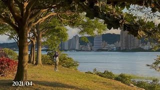 黃昏的淡水竹圍河邊，台北市區半小時的車程，在地人的祕境，美景如畫