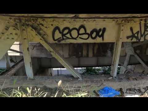 Exploring the Richmond Hill Abandoned Train Station(LIRR).