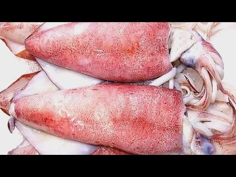 How to Cook Squid | Easy Side Dish Squid Fry Recipe for Rice