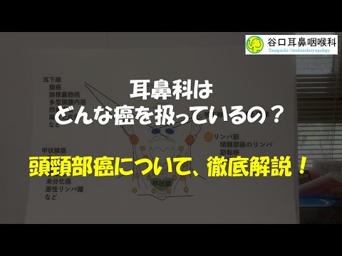 【現役医師が教える！】耳鼻科ってどんなガンを扱うの？【頭頸部癌】