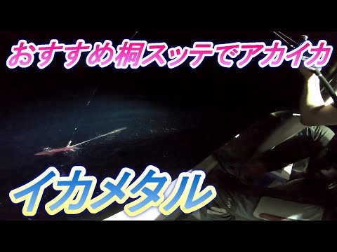 【イカメタル】桐スッテ押し！ケンサキイカ（アカイカ）釣り