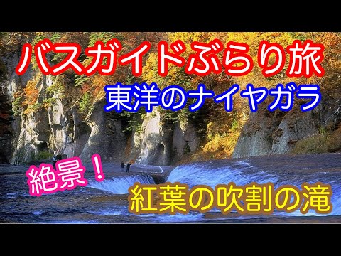 バスガイドぶらり旅 vol.109  絶景！紅葉の吹割の滝