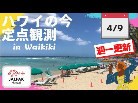 【ハワイの今】ワイキキ定点観測  2024年4月9日