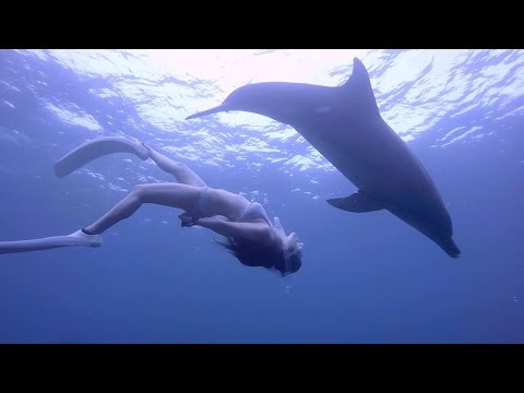 Freediving - Swimming with dolphins! - Mikura Island, July 2015