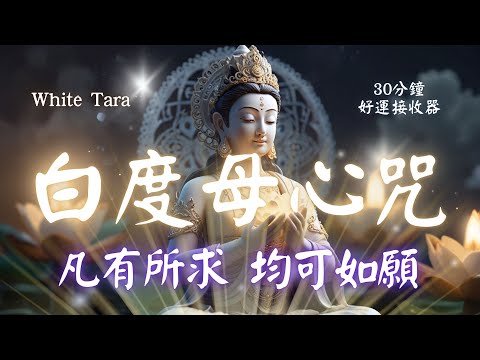 白度母心咒  White Tara Mantra 體驗白度母心咒的奇蹟力量，心想事成，讓心靈與幸福共振！ (中文/羅馬發音版)  #白度母 #buddha