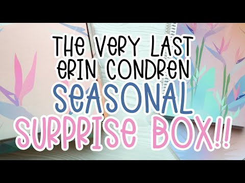 SUMMER SEASONAL SURPRISE BOX | The VERY LAST one! | Erin Condren