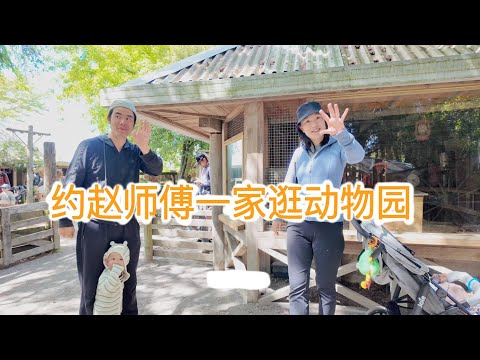 动物园怎么了？动物都在打架（新西兰 Harold Vlog 820）