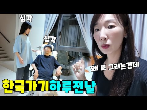 한국 가기 하루 전날 문제가 발생 했어요ㅠ 가족 일상 브이로그 vlogㅣ토깽이네