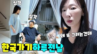 한국 가기 하루 전날 문제가 발생 했어요ㅠ 가족 일상 브이로그 vlogㅣ토깽이네