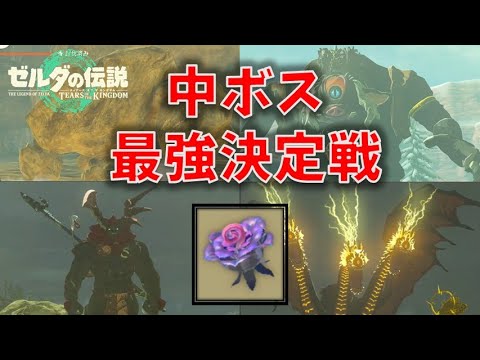 【ティアキン】コンラン花で中ボス達を戦わせてみた【ゼルダの伝説 ティアーズ オブ ザ キングダム】