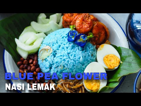 Easy Steps to Make Blue Butterfly Pea Flower Nasi Lemak | Simple Recipe Guide | 蓝花椰浆饭