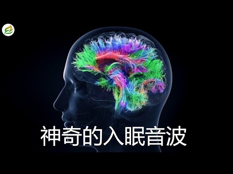 [2小时]解除失眠、幫助入眠 過慮一天累積的生活煩惱, 一秒入睡!! - 神奇的入眠音波