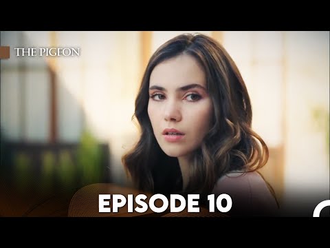 The Pigeon Episode 10 (FULL HD)