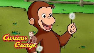 George Plants New Wildflowers 🐵 Curious George 🐵 Kids Cartoon 🐵 Kids Movies