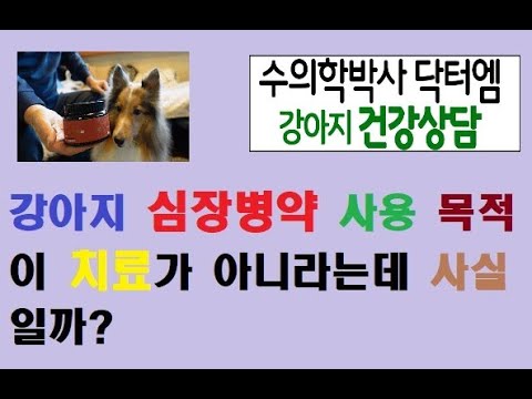 강아지 심장병약은 치료 목적이 아니라는데 사실인가요?