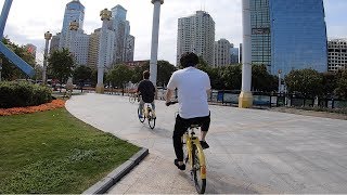 【中国】シェアバイク"ofo"でブンブン言わせたったわ。