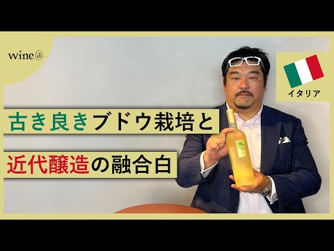 【古き良きブドウ栽培と近代醸造技術の融合】フェウディ・ディ・サン・グレゴリオ / カンパナーロ（イタリア）