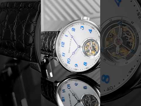 Sea-Gull Tourbillon Watch. Enamel Dial. Ref. 818.13.8809 海鸥陀飞轮 珐琅表盘