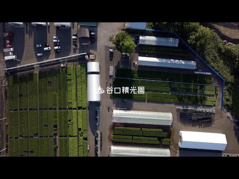 谷口精光園　会社紹介