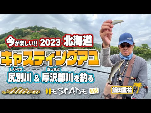 2023北海道キャスティングアユ/尻別川&厚沢部川