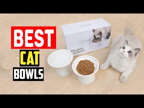 ✅Top 5 Best Cat Bowls of 2024