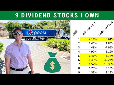 9 DIVIDEND STOCKS I Own Right Now