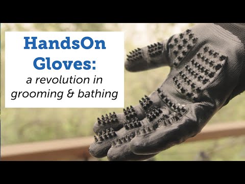 HandsOn Gloves - a revolution in grooming and bathing