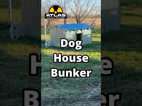 Dog house hides entrance to Bomb Shelter 🐶 #bunker #bombshelter #shelter #hidden #prepper #doomsday