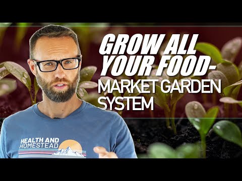 Seedtime - A Year Round System to Grow Food Or Become A Market Gardener -