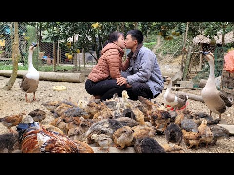 Banana cake making process at the farm for sale, a tiring day together | Linh's Life