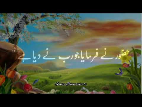 Nabi Paak 'ﷺ' Se Ek Sahabi Ne Pucha 🥀 | Islamic WhatsApp Status |