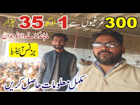 Murgi Poultry Farming | Desi Hen Farming in Pakistan | Small Business Ideas in Pakistan